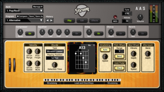 aas-strum-acoustic-gs-2[1]